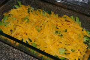 Broccoli and cheese Broccoli and cheese