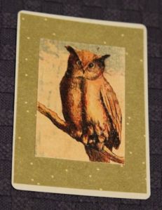 I have some Christmas cards that say "Happy Owlidays." Lurve.